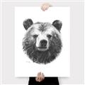 Picture of Bear Sketch _GroupedProduct_Rectangle_Portrait_Canvas_