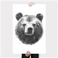 Picture of Bear Sketch _GroupedProduct_Rectangle_Portrait_Canvas_