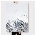 Picture of Snowy Treetops _GroupedProduct_Rectangle_Portrait_Photography _GroupedProduct_Rectangle_Portrait_Canvas_