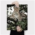 Picture of Lurking Cheetah _GroupedProduct_Rectangle_Portrait_Canvas_