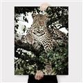 Picture of Lurking Cheetah _GroupedProduct_Rectangle_Portrait_Canvas_