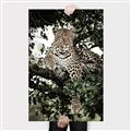 Picture of Lurking Cheetah _GroupedProduct_Rectangle_Portrait_Canvas_