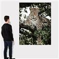 Picture of Lurking Cheetah _GroupedProduct_Rectangle_Portrait_Canvas_
