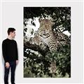 Picture of Lurking Cheetah _GroupedProduct_Rectangle_Portrait_Canvas_