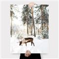 Picture of Moose in the snow _GroupedProduct_Rectangle_Portrait_Photography _GroupedProduct_Rectangle_Portrait_Canvas_
