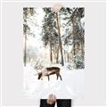 Picture of Moose in the snow _GroupedProduct_Rectangle_Portrait_Photography _GroupedProduct_Rectangle_Portrait_Canvas_