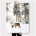 Picture of Moose in the snow _GroupedProduct_Rectangle_Portrait_Photography _GroupedProduct_Rectangle_Portrait_Canvas_