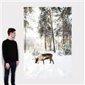 Picture of Moose in the snow _GroupedProduct_Rectangle_Portrait_Photography _GroupedProduct_Rectangle_Portrait_Canvas_