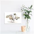 Picture of White Hydrangea in a Vase _GroupedProduct_Rectangle_Landscape_Canvas_