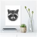 Picture of Raccoon Sketch _GroupedProduct_Rectangle_Portrait_Canvas_