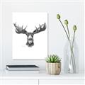 Picture of Moose Sketch _GroupedProduct_Rectangle_Portrait_Canvas_
