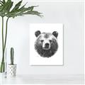 Picture of Bear Sketch _GroupedProduct_Rectangle_Portrait_Canvas_