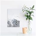 Picture of Snowy Treetops _GroupedProduct_Rectangle_Portrait_Photography _GroupedProduct_Rectangle_Portrait_Canvas_