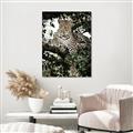 Picture of Lurking Cheetah _GroupedProduct_Rectangle_Portrait_Canvas_
