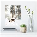 Picture of Moose in the snow _GroupedProduct_Rectangle_Portrait_Photography _GroupedProduct_Rectangle_Portrait_Canvas_