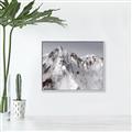 Picture of Rocky Mountain II _GroupedProduct_Rectangle_Landscape_Photography _GroupedProduct_Rectangle_Landscape_Canvas_Framed_