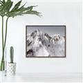 Picture of Rocky Mountain II _GroupedProduct_Rectangle_Landscape_Photography _GroupedProduct_Rectangle_Landscape_Canvas_Framed_