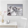 Picture of Rocky Mountain II _GroupedProduct_Rectangle_Landscape_Photography _GroupedProduct_Rectangle_Landscape_Canvas_Framed_