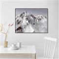 Picture of Rocky Mountain II _GroupedProduct_Rectangle_Landscape_Photography _GroupedProduct_Rectangle_Landscape_Canvas_Framed_