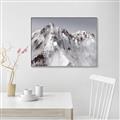 Picture of Rocky Mountain II _GroupedProduct_Rectangle_Landscape_Photography _GroupedProduct_Rectangle_Landscape_Canvas_Framed_