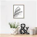 Picture of Colosseum Sketch _GroupedProduct_Rectangle_Portrait_Canvas_Framed_