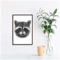 Picture of Raccoon Sketch _GroupedProduct_Rectangle_Portrait_Canvas_Framed_