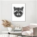 Picture of Raccoon Sketch _GroupedProduct_Rectangle_Portrait_Canvas_Framed_