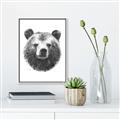 Picture of Bear Sketch _GroupedProduct_Rectangle_Portrait_Canvas_Framed_