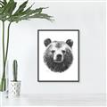 Picture of Bear Sketch _GroupedProduct_Rectangle_Portrait_Canvas_Framed_