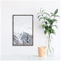 Picture of Snowy Treetops _GroupedProduct_Rectangle_Portrait_Photography _GroupedProduct_Rectangle_Portrait_Canvas_Framed_
