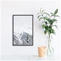 Picture of Snowy Treetops _GroupedProduct_Rectangle_Portrait_Photography _GroupedProduct_Rectangle_Portrait_Canvas_Framed_