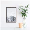 Picture of Snowy Treetops _GroupedProduct_Rectangle_Portrait_Photography _GroupedProduct_Rectangle_Portrait_Canvas_Framed_