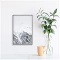 Picture of Snowy Treetops _GroupedProduct_Rectangle_Portrait_Photography _GroupedProduct_Rectangle_Portrait_Canvas_Framed_