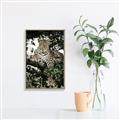 Picture of Lurking Cheetah _GroupedProduct_Rectangle_Portrait_Canvas_Framed_