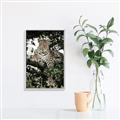 Picture of Lurking Cheetah _GroupedProduct_Rectangle_Portrait_Canvas_Framed_