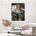 Picture of Lurking Cheetah _GroupedProduct_Rectangle_Portrait_Canvas_Framed_