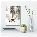 Picture of Moose in the snow _GroupedProduct_Rectangle_Portrait_Photography _GroupedProduct_Rectangle_Portrait_Canvas_Framed_