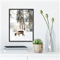 Picture of Moose in the snow _GroupedProduct_Rectangle_Portrait_Photography _GroupedProduct_Rectangle_Portrait_Canvas_Framed_