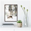 Picture of Moose in the snow _GroupedProduct_Rectangle_Portrait_Photography _GroupedProduct_Rectangle_Portrait_Canvas_Framed_