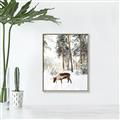 Picture of Moose in the snow _GroupedProduct_Rectangle_Portrait_Photography _GroupedProduct_Rectangle_Portrait_Canvas_Framed_