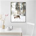 Picture of Moose in the snow _GroupedProduct_Rectangle_Portrait_Photography _GroupedProduct_Rectangle_Portrait_Canvas_Framed_