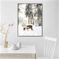 Picture of Moose in the snow _GroupedProduct_Rectangle_Portrait_Photography _GroupedProduct_Rectangle_Portrait_Canvas_Framed_