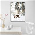 Picture of Moose in the snow _GroupedProduct_Rectangle_Portrait_Photography _GroupedProduct_Rectangle_Portrait_Canvas_Framed_