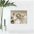 Picture of Rocky Mountain II _GroupedProduct_Rectangle_Landscape_Photography _GroupedProduct_Rectangle_Landscape_Unframed_Print_Only_