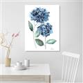 Picture of Blue Hydrangeas I _GroupedProduct_Rectangle_Portrait_Unframed_Print_Only_
