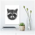 Picture of Raccoon Sketch _GroupedProduct_Rectangle_Portrait_Unframed_Print_Only_