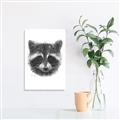 Picture of Raccoon Sketch _GroupedProduct_Rectangle_Portrait_Unframed_Print_Only_