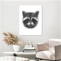Picture of Raccoon Sketch _GroupedProduct_Rectangle_Portrait_Unframed_Print_Only_