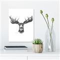 Picture of Moose Sketch _GroupedProduct_Rectangle_Portrait_Unframed_Print_Only_
