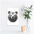 Picture of Bear Sketch _GroupedProduct_Rectangle_Portrait_Unframed_Print_Only_
